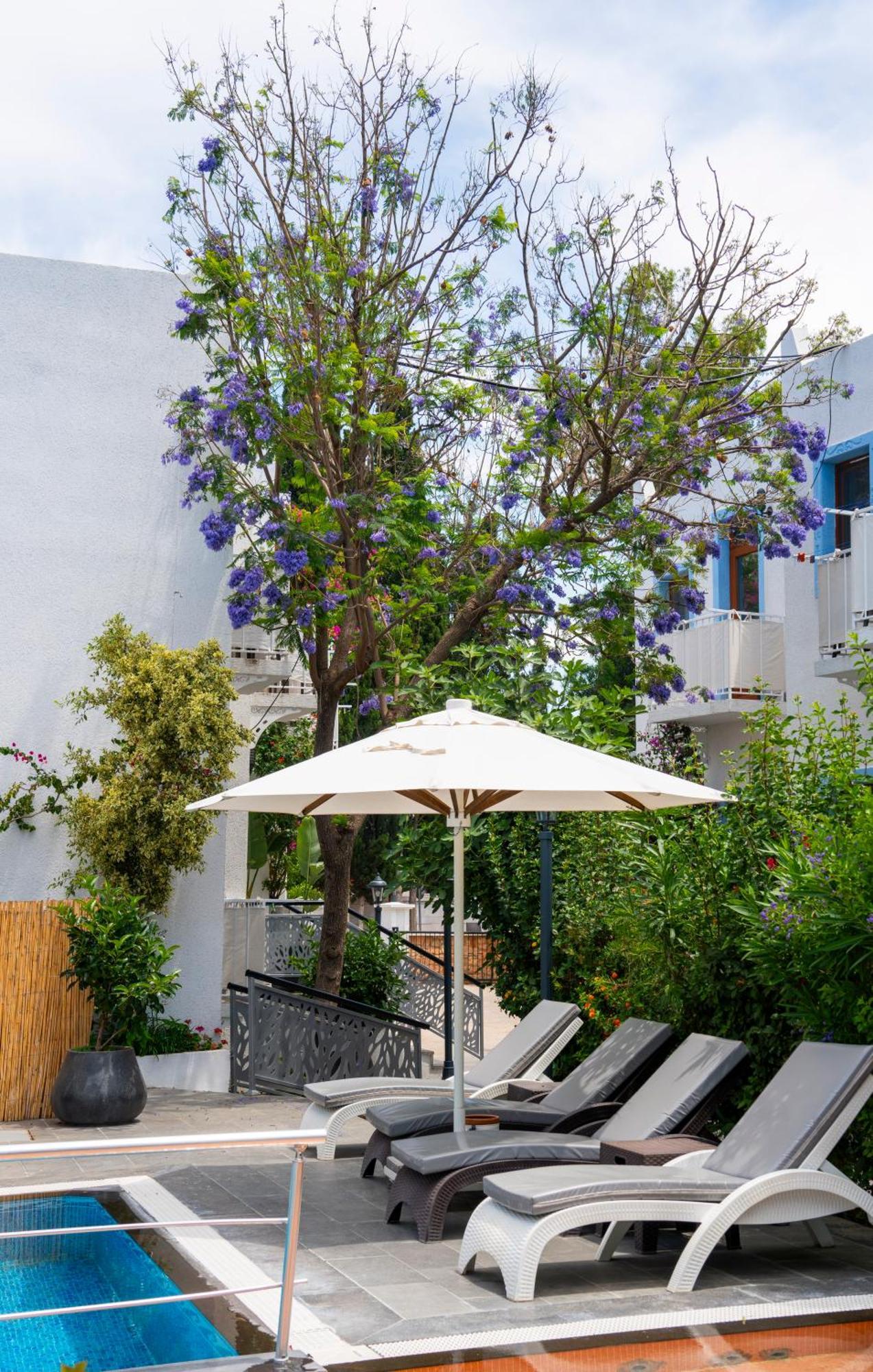 Manuela Boutique Hotel Bitez Extérieur photo